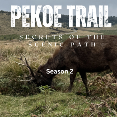 Pekoe Trail: Secrets of the scenic path – Season 2